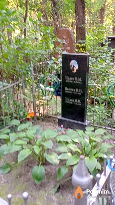 Ивлев В М