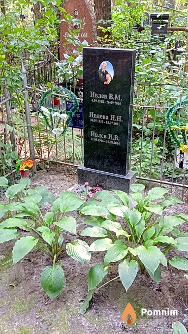 Ивлев Н В