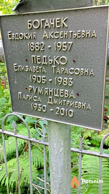 Педько Елизавета Тарасовна