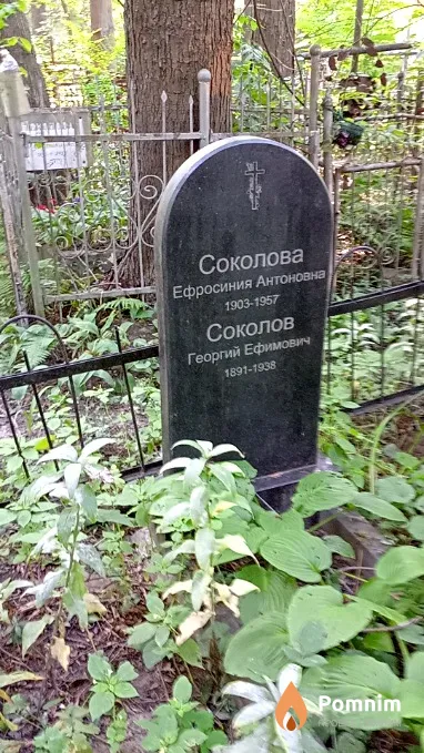 Соколова Ефросиния Антоновна