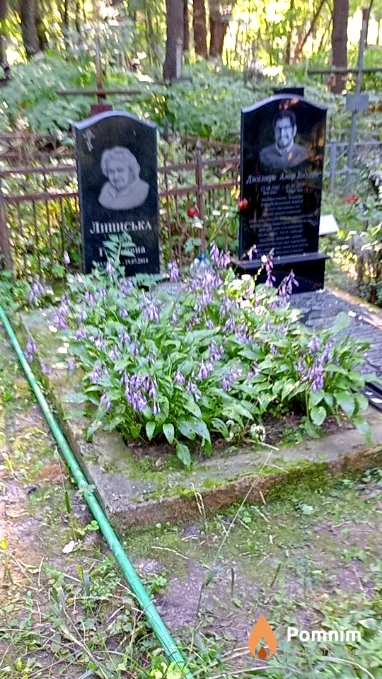 Липинская Вера Георгиевна