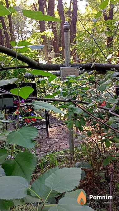 Павловский Роман Ефимович