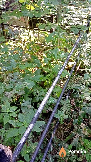 Кульчицький Нестор Захарович