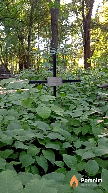 Каминская А А