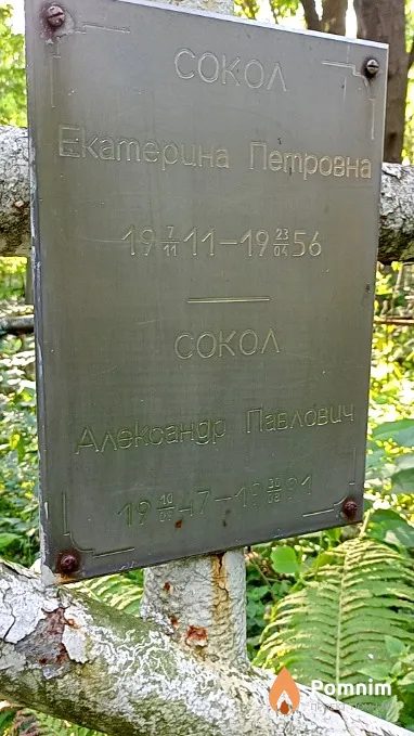 Сокол Александр Павлович