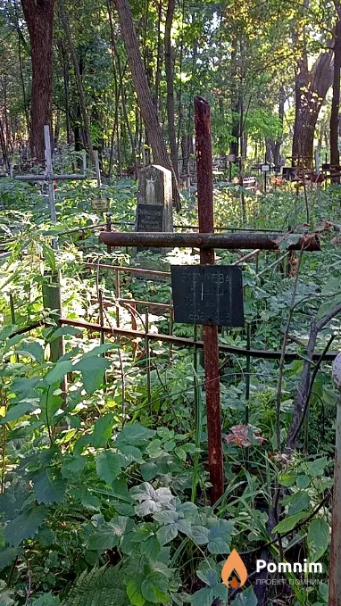 Брежнева Надежда Романовна