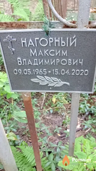 Нагорный Максим Владимирович