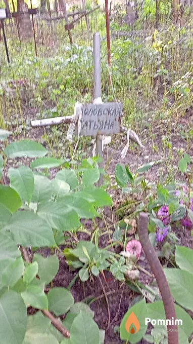 Чоловская Татьяна