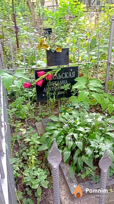 Михальский Бронислав Андреевич