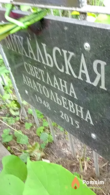 Михальская Светлана Николаевна