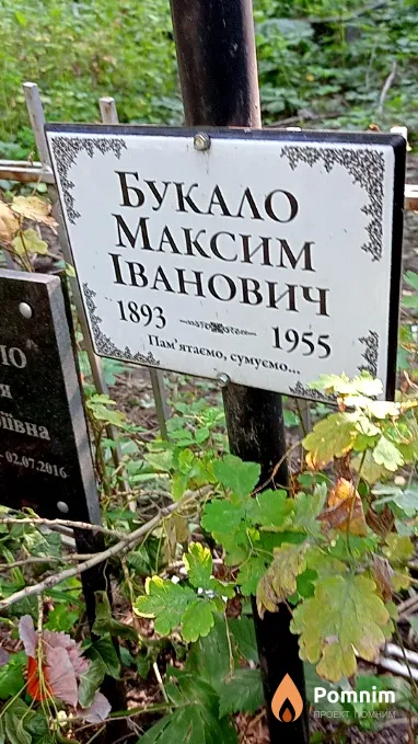Букало Максим Иванович