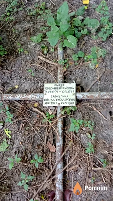 Сафиулина Ольга Александровна