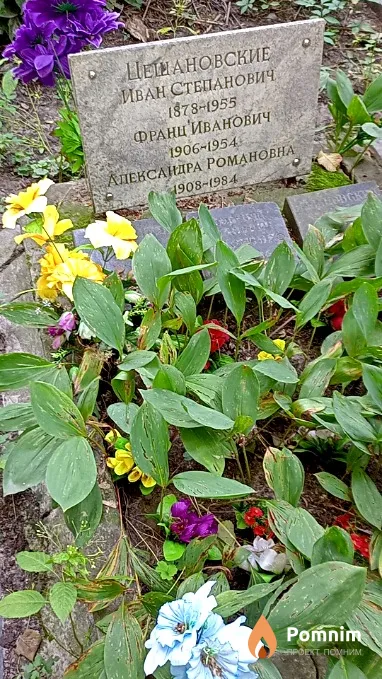 Цещановская Александра Романовна