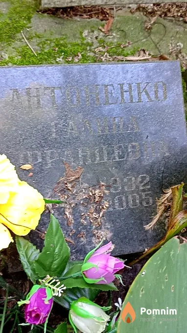 Антоненко Галина Францевна