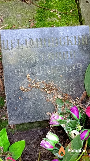 Дешановский Анатолий Францевич