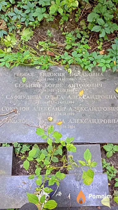 Сафиулина Ольга Александровна