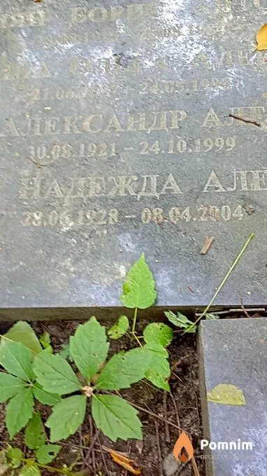 Соколова Надежда Александровна