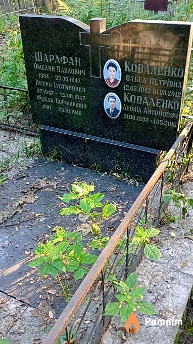 Шарафан Омельян Павлович