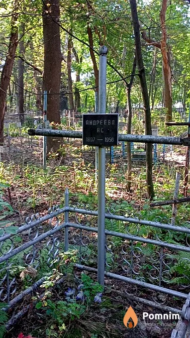 Андреева А С