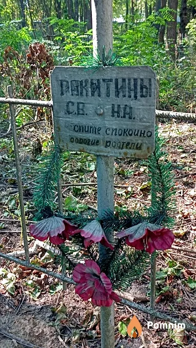 Рнкнтин Н А