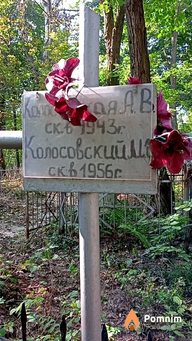 Колосовская А В