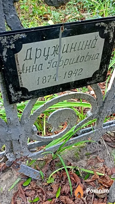 Дружинина Анна Гавриловна