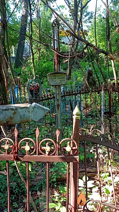 Левищенко Анастасия Максимовна