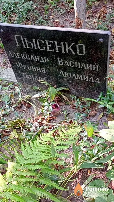 Лысенко Тамара