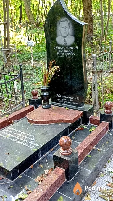 Наконечный Владимир Викторович