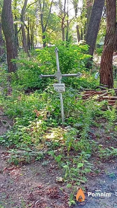 Шаповалова Алла Михайловна