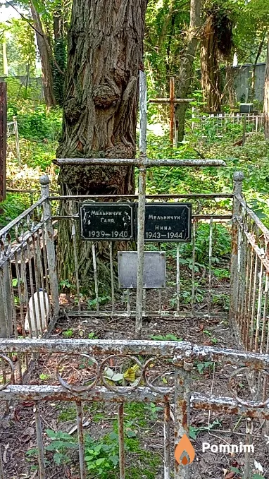 Мельничук Нина