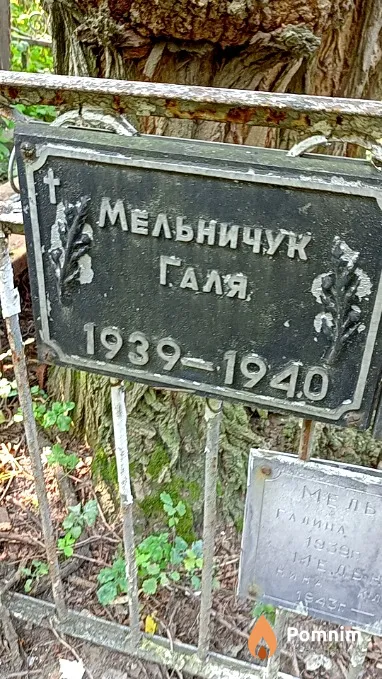 Мельничук Галина
