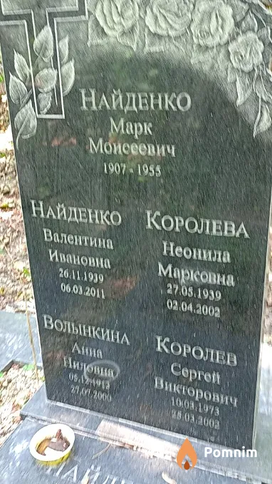 Волынкина Анна Ниловна