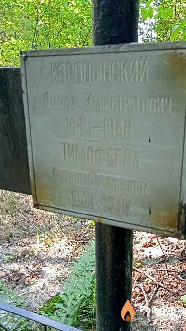 Тимофеева Ксения Федоровна