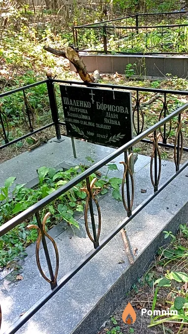 Борисова Лидия Яковлевна