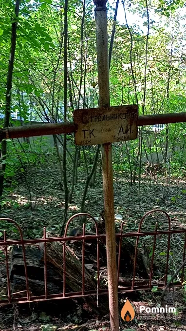 Стрельников Т К