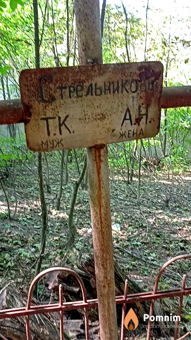Стрельникова А Н