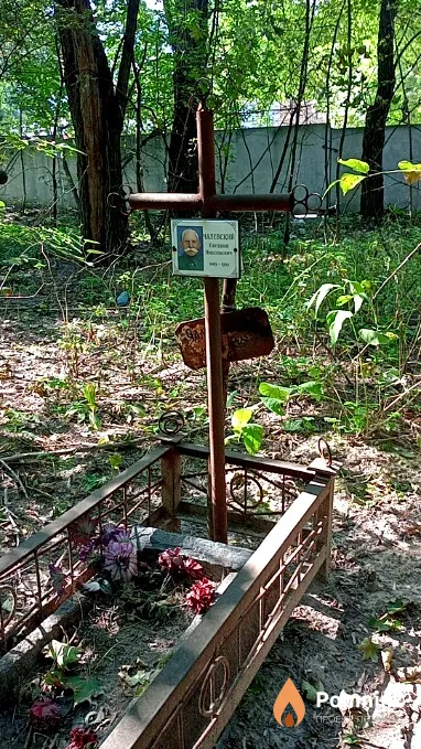 Чалевский Евгений Николаевич