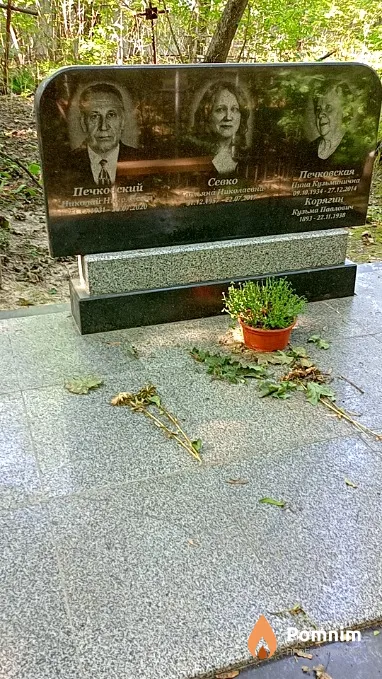 Печковский Николай Николаевич