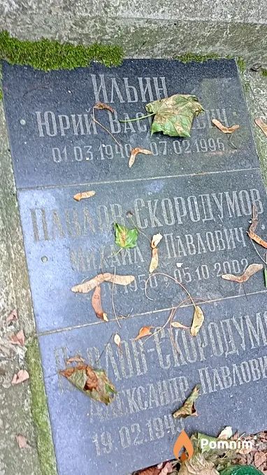 Ильин Юрий Васильевич