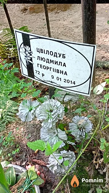 Цвілодуб Людмила Георгівна