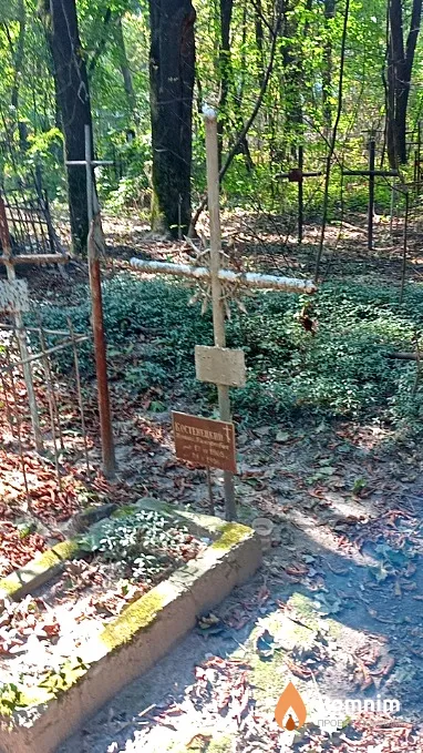 Костенецкий Николай Тимофеевич
