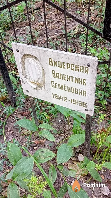 Видерская Валентина Семёновна