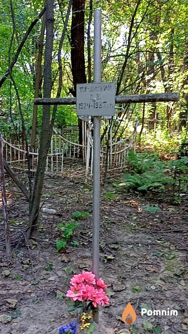 Торчинский Г В