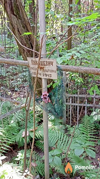Лукашевич Елизавета Андреевна