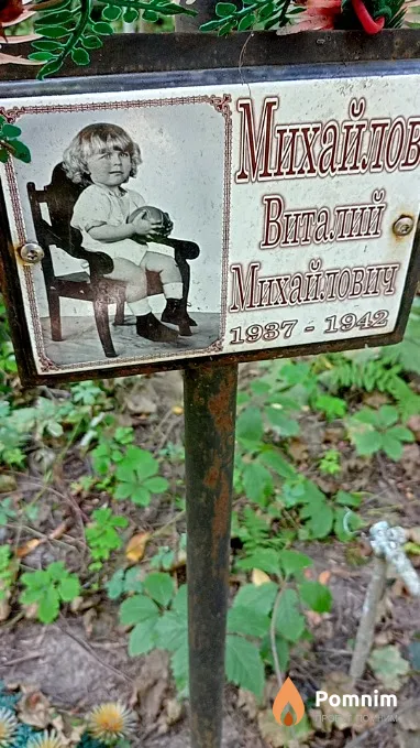 Михайлов Виталий Михайлович