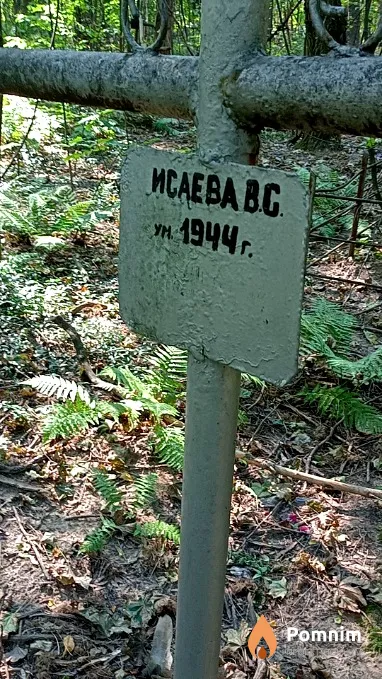 Исаева В С
