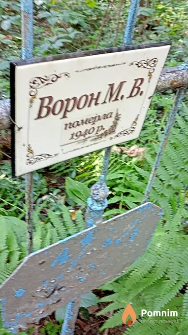 Ворон М В