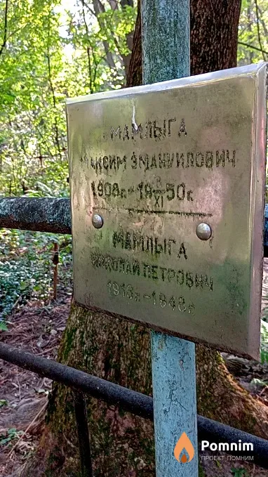 Мамлыга Николай Петрович