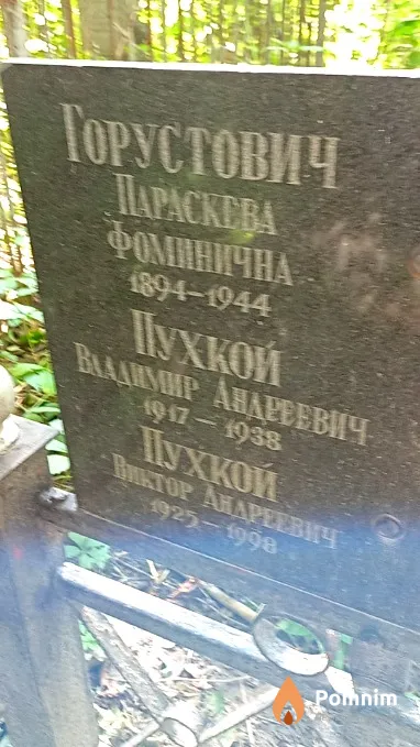Пухкой Виктор Андреевич